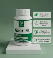 Gastri Fit para Gastritis, Reflujo y Digestión Saludable 100 caps